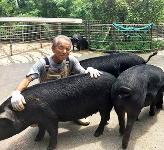 沖縄アグー 黒金豚